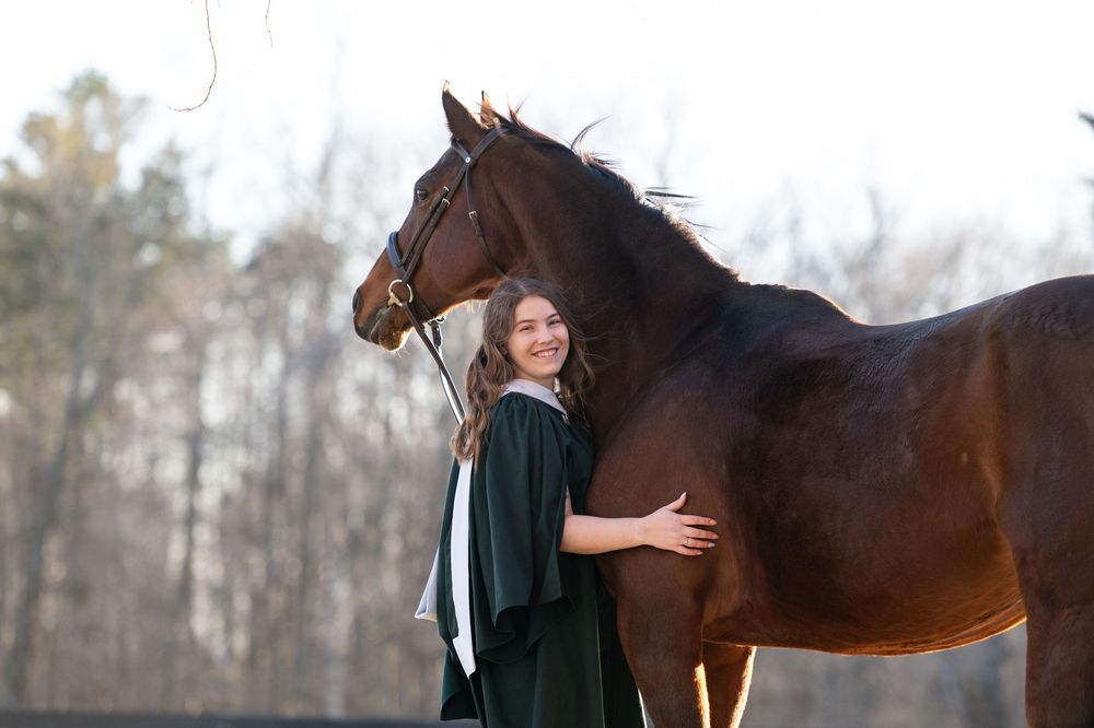 A majestic brown horse receives a warm embrace from someone wearing a dark green outfit near a forest.