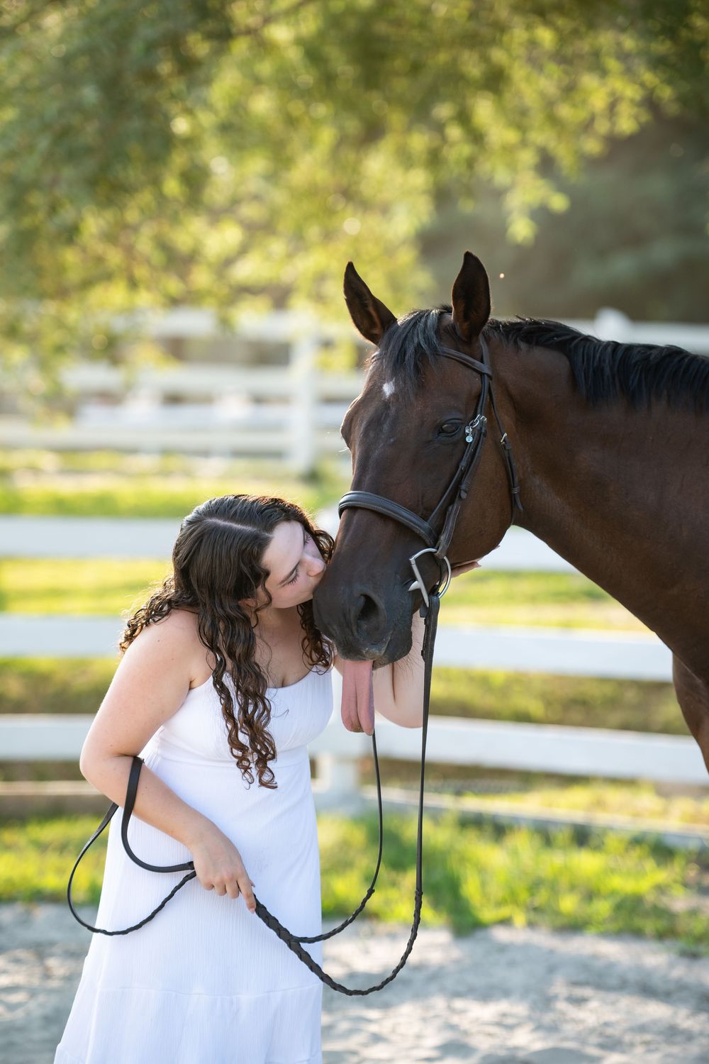 A beautiful brown horse and someone in a white dress share a tender moment by a white fence on a sunny day.