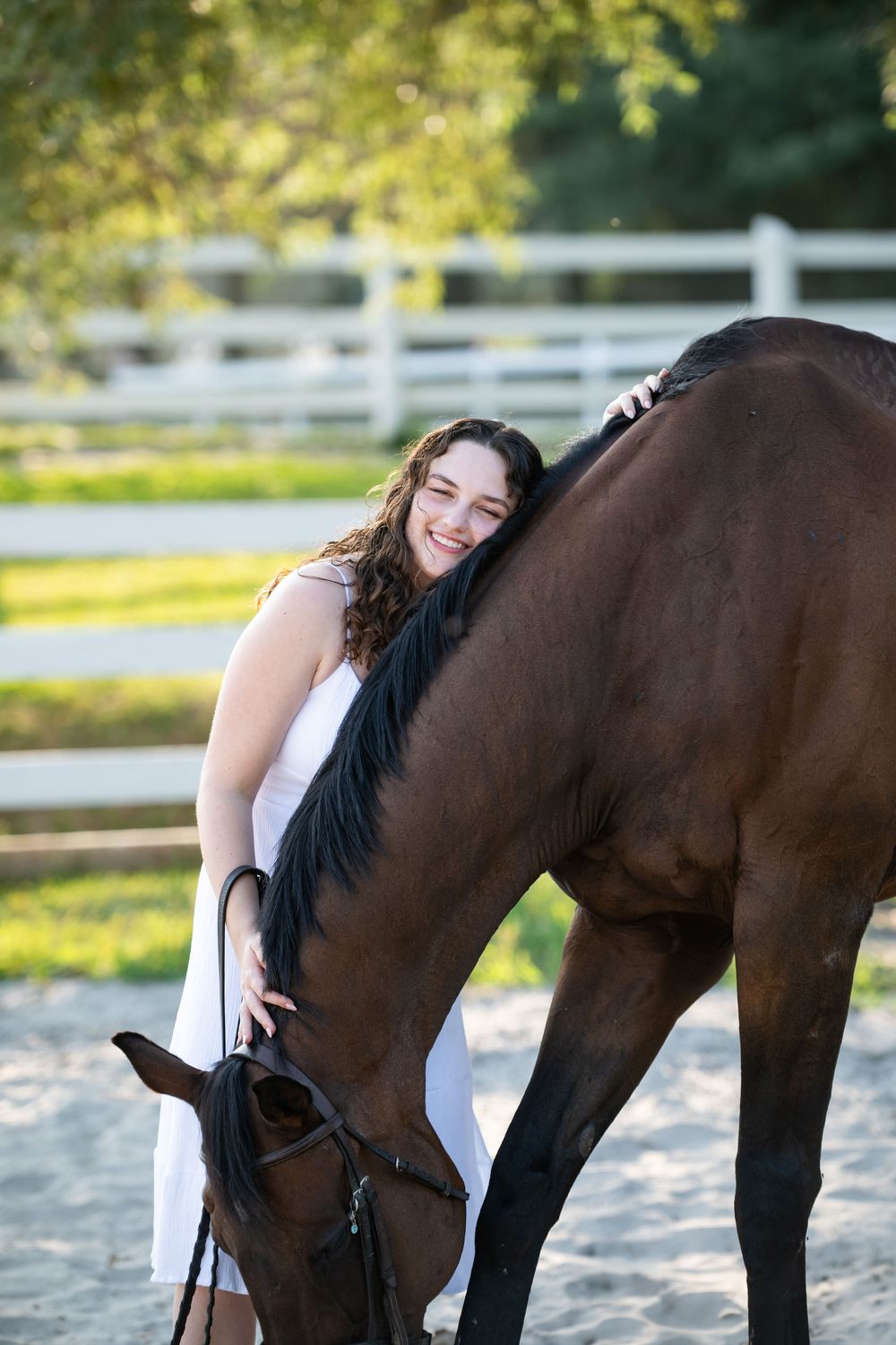 A sequence of close-up shots showing someone bonding with a brown horse near white fence posts.