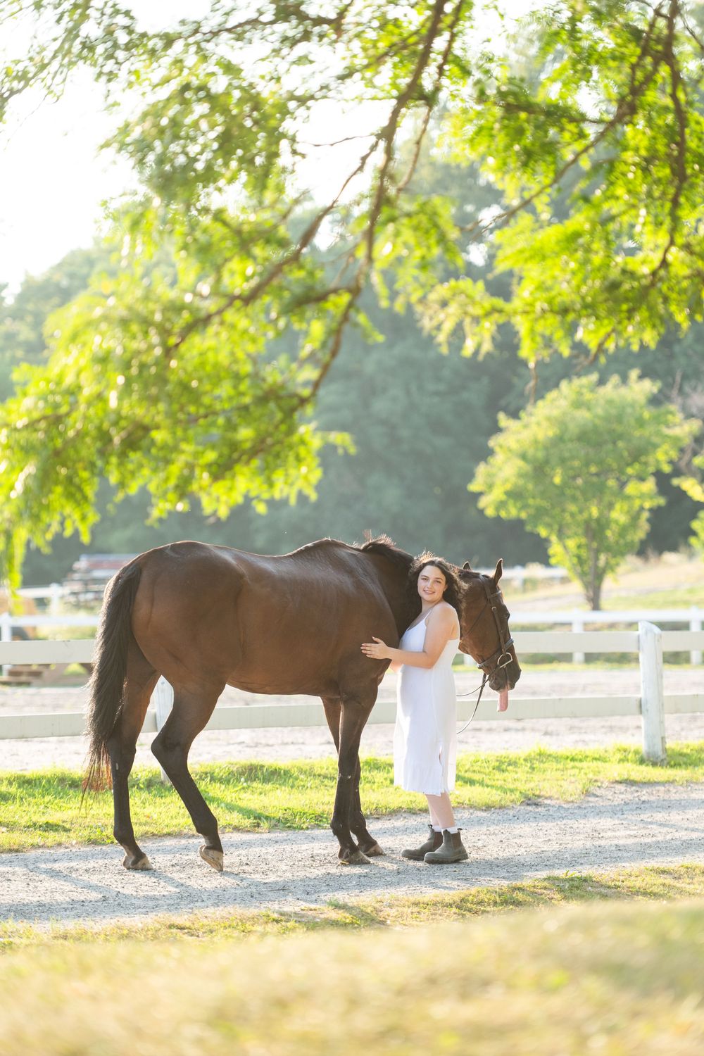 Horse and companion enjoy peaceful moment together under green tree branches in summer sunlight.