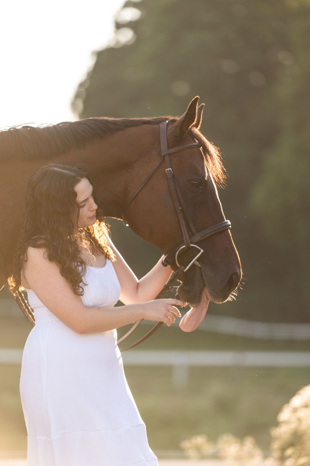 A series of tender moments between a person in white and their dark horse during golden hour.