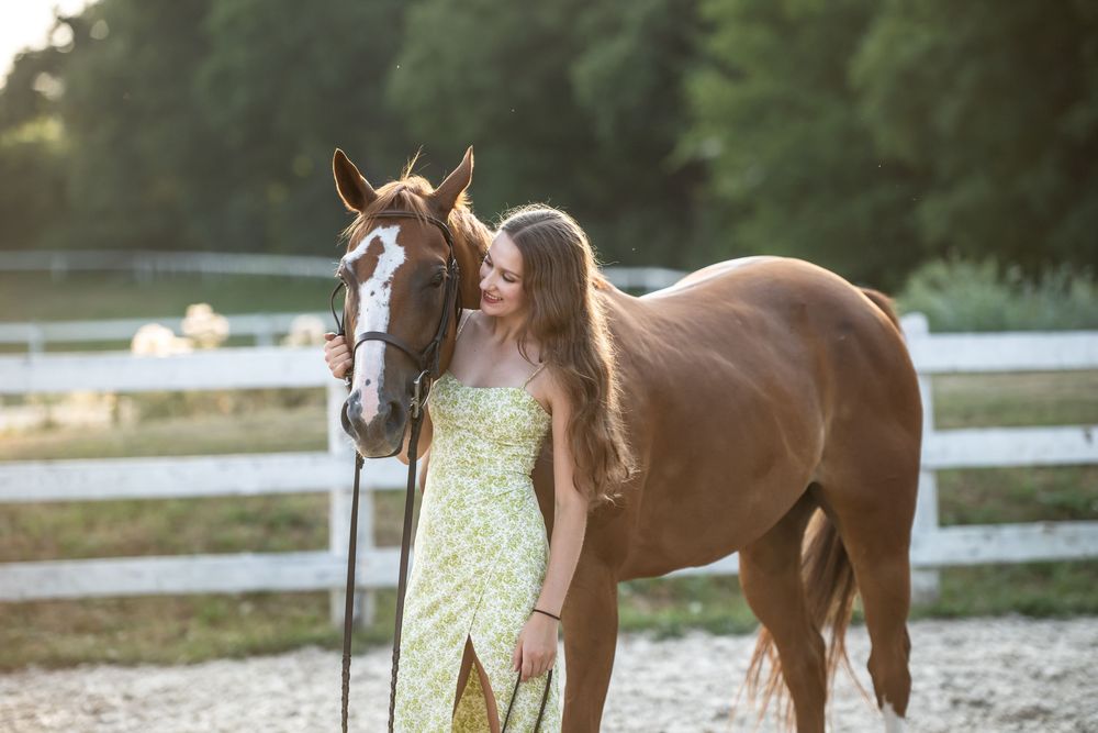 A beautiful chestnut brown horse with a white blaze stands next to a wooden fence on a sunny day.