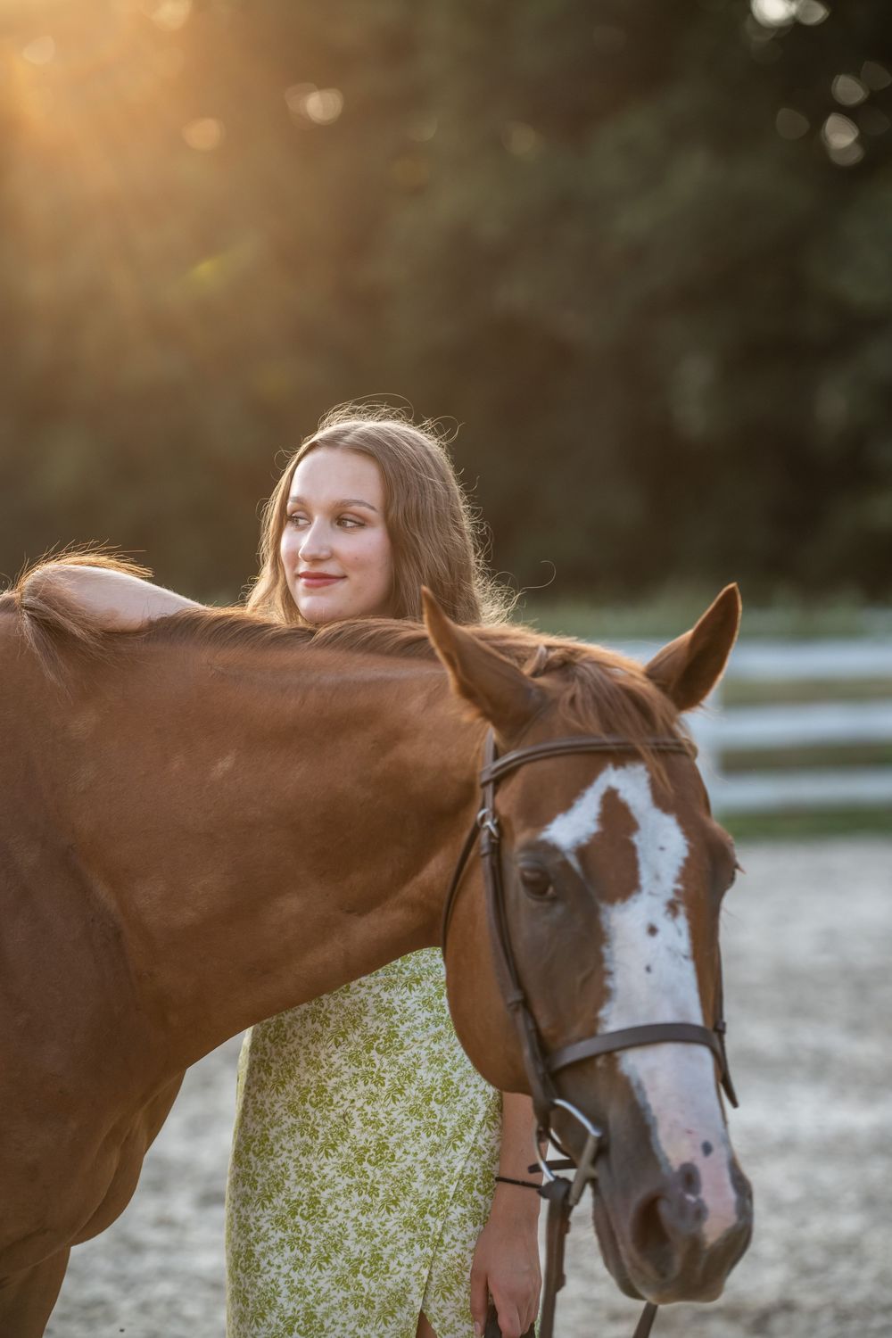 A heartwarming artistic photo sequence showing a brown horse with a white blaze nuzzling someone at sunset.