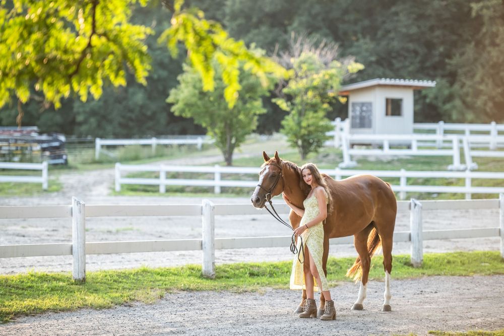 Three horses walk along a dirt path next to white fencing and yellow fall foliage in the background.