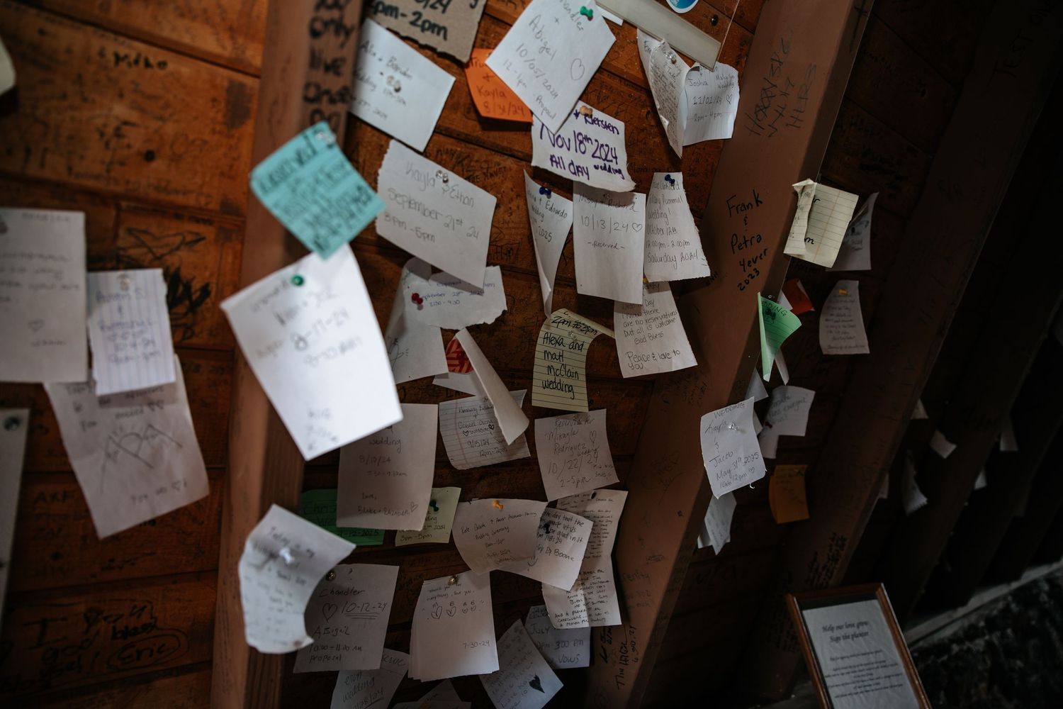 Multiple handwritten notes and pieces of paper pinned to a dark wooden surface in dim lighting.