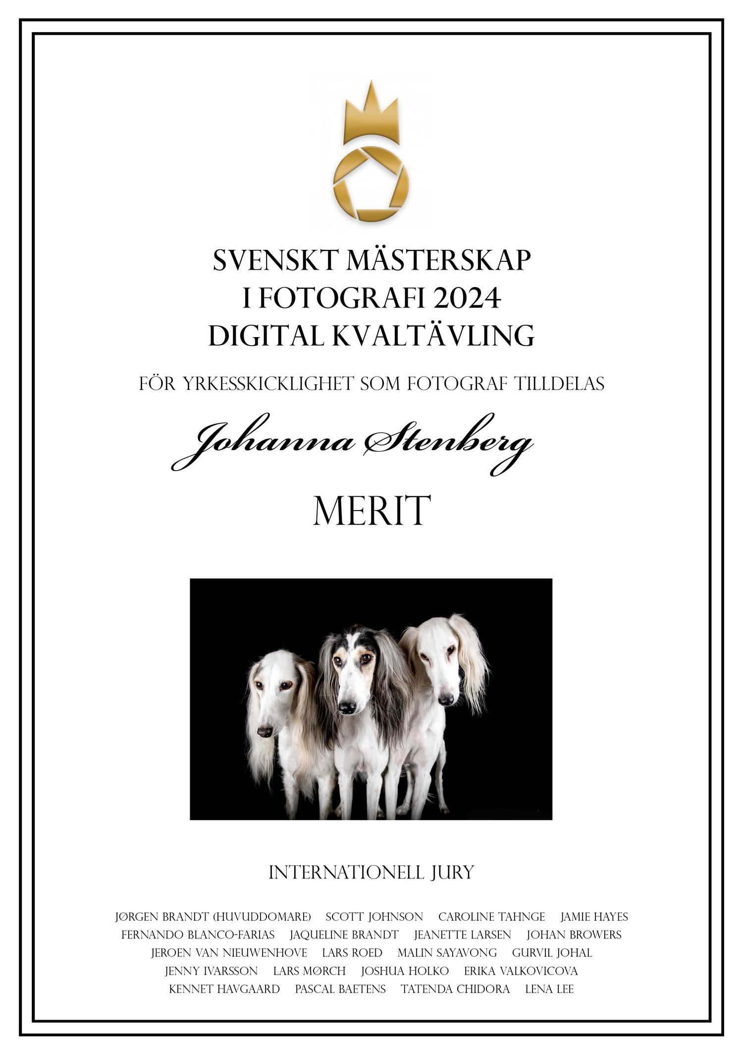 Sm i fotografi 2024