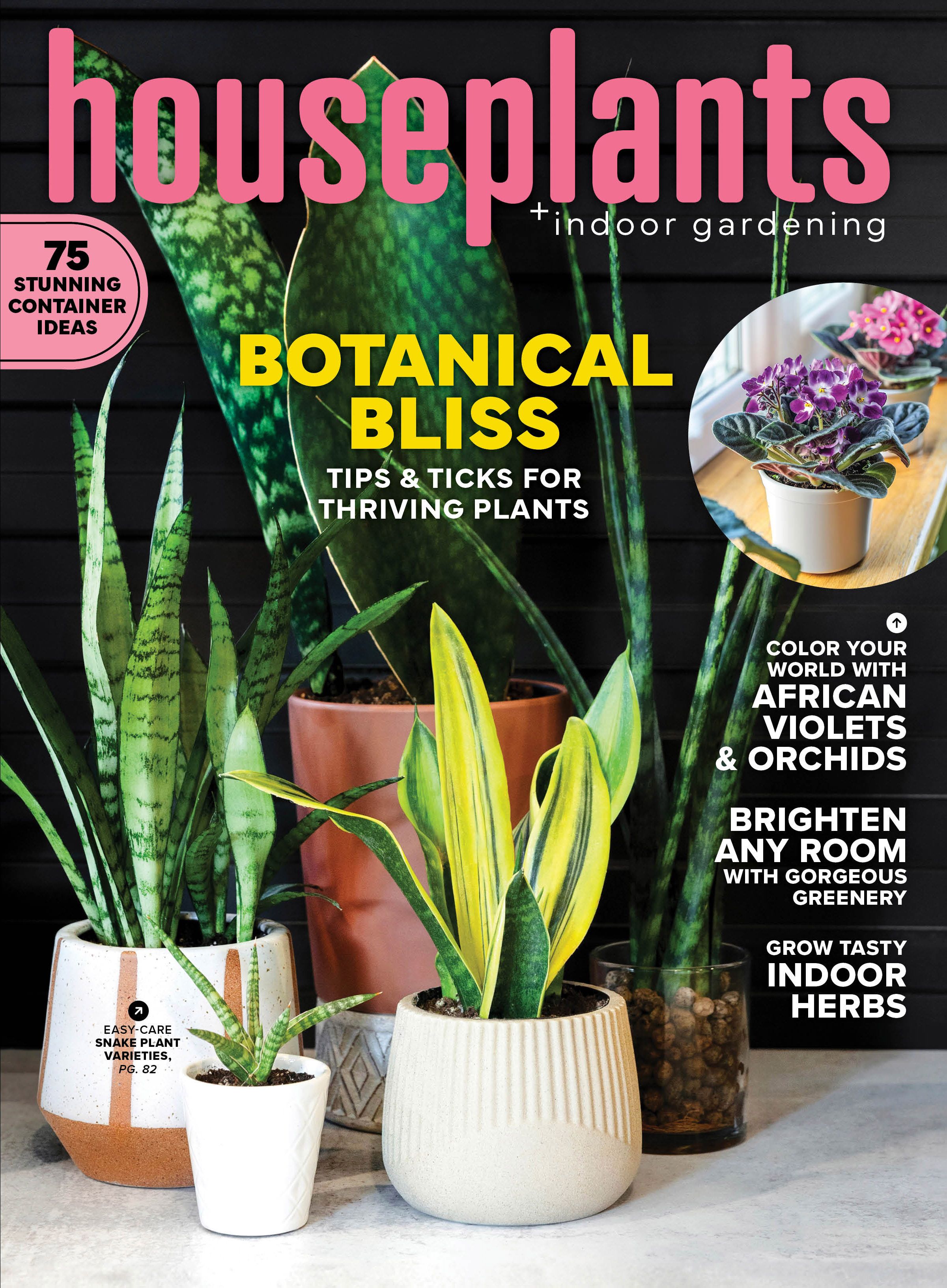 Magazine header featuring indoor houseplants and botanical themes with pink typography.