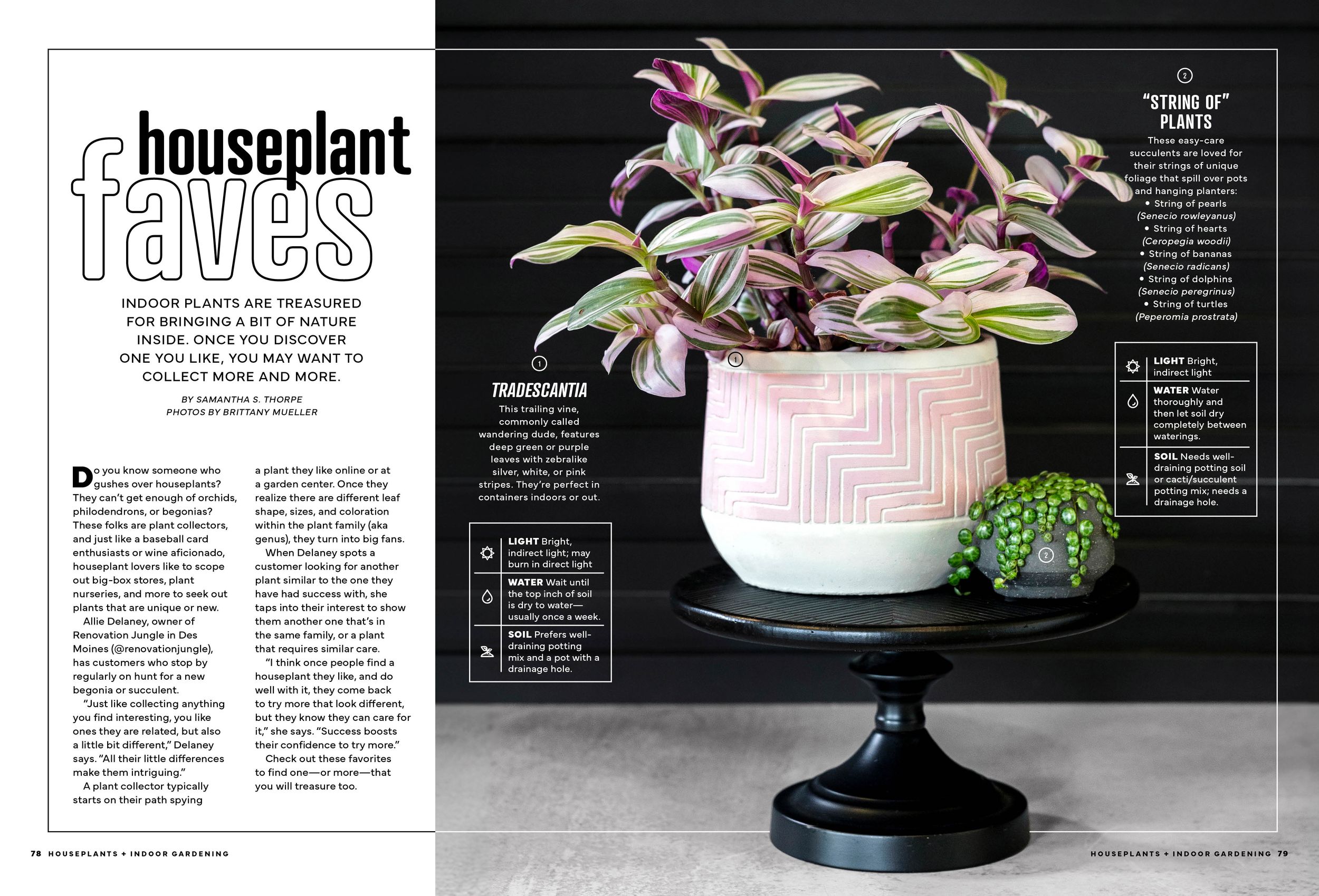 Magazine spread with dark background showing elegant plant arrangements and styling tips. Branding Photographer.