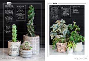 Multiple potted houseplants and succulents arranged in decorative containers with care guide text. Branding Photographer.