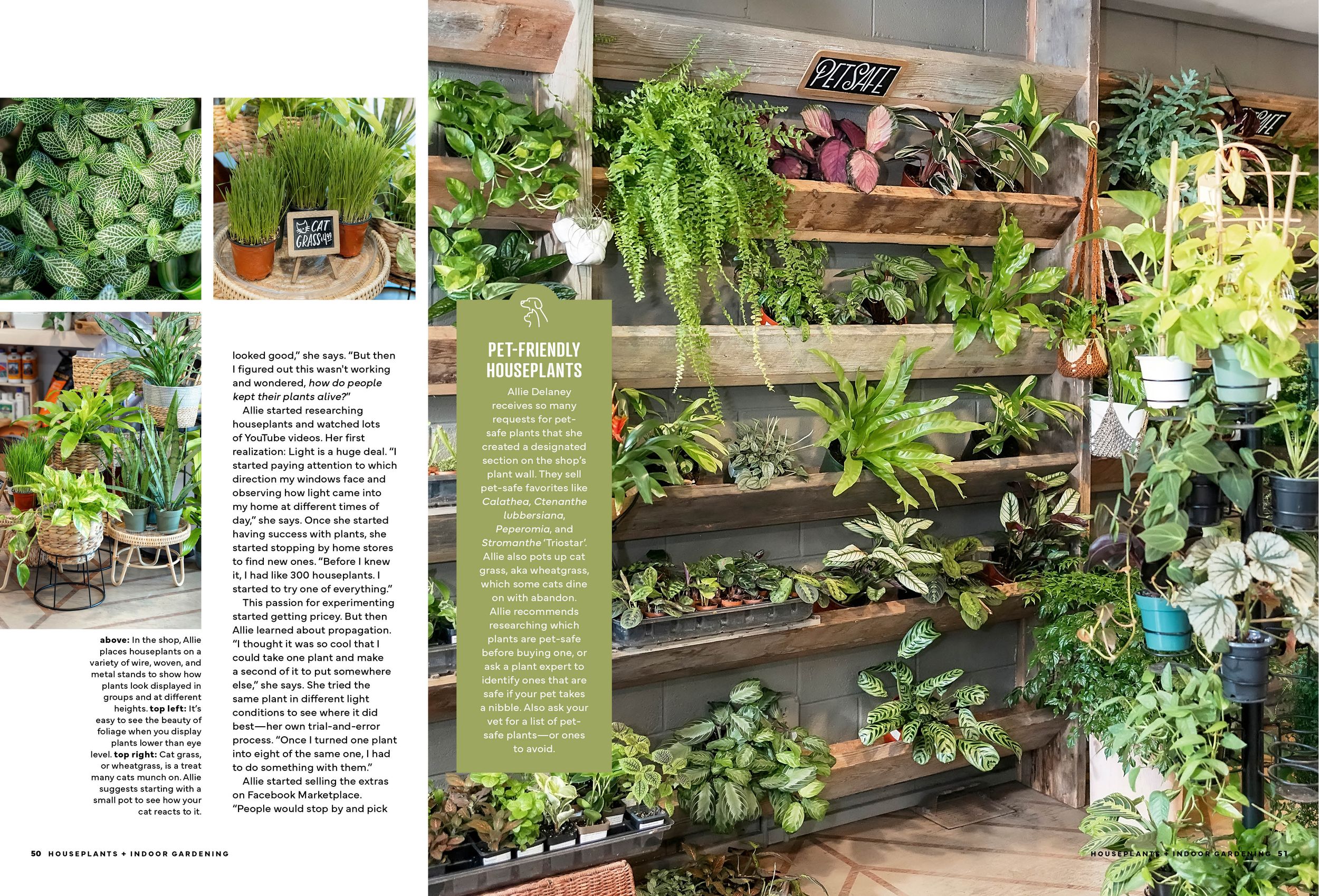 Magazine layout featuring various potted plants and garden design inspirations.