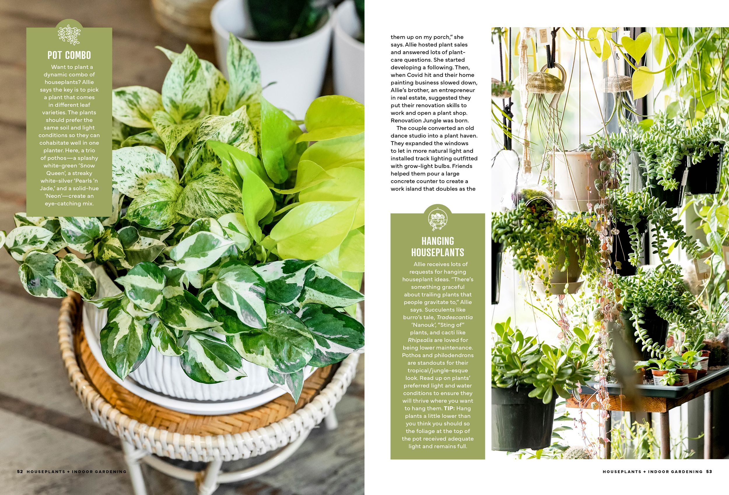 Editorial pages displaying artistically arranged houseplants and container gardens. Branding Photographer.