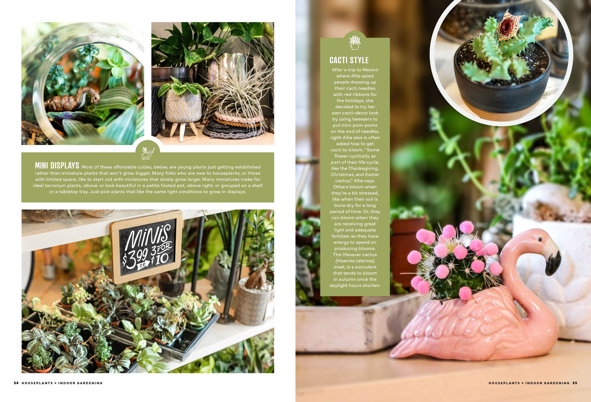 Magazine spread showing detailed plant care tips and decorative planting ideas. Branding Photographer.
