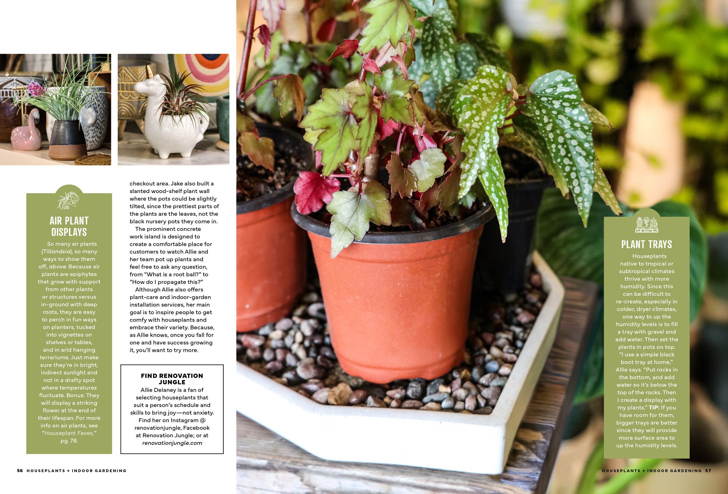 Editorial layout featuring close-up shots of potted plants and gardening accessories. Branding Photographer.