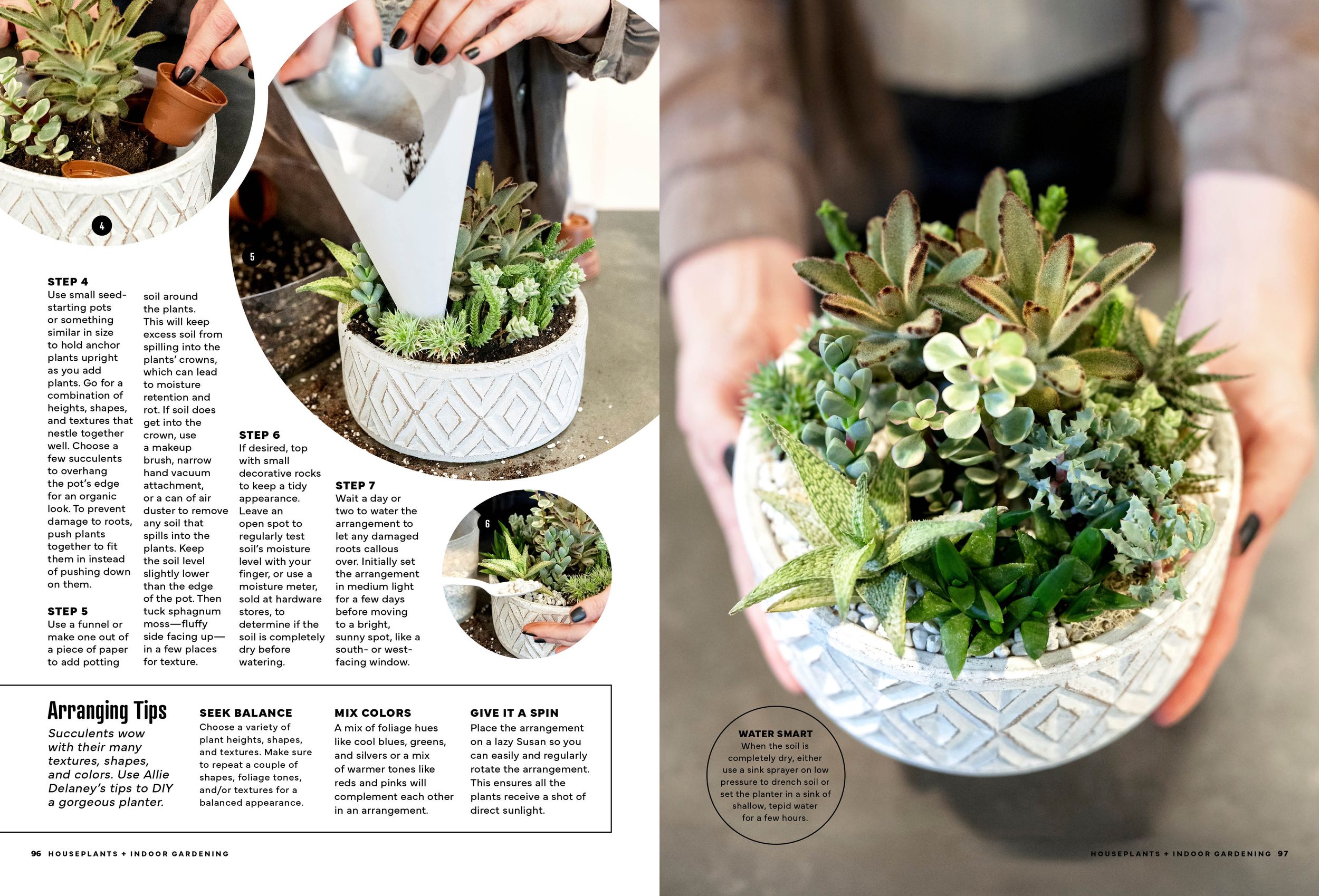 Tutorial showing hands arranging and planting succulents in white patterned containers. v