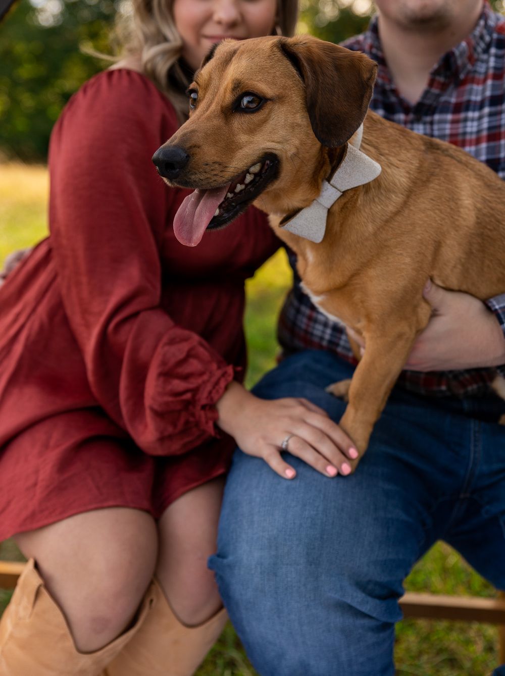 Brown dog sitting with owners on white blanket during outdoor photo session.