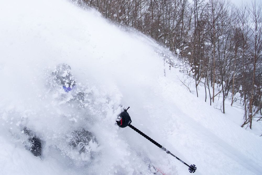 Skier in powder