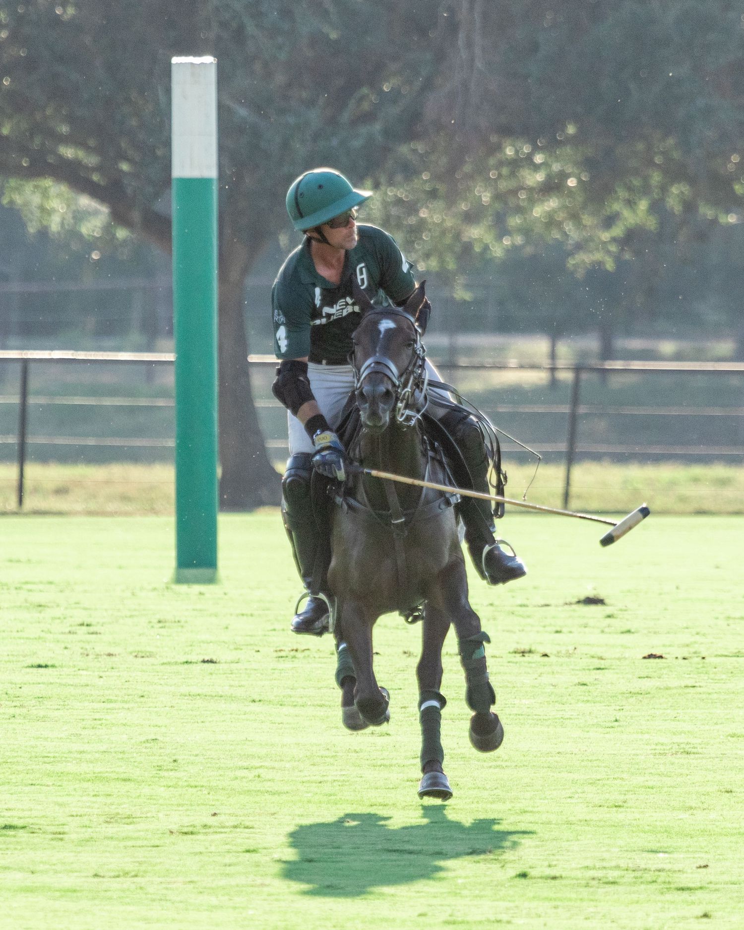 Polo Jeff Hall