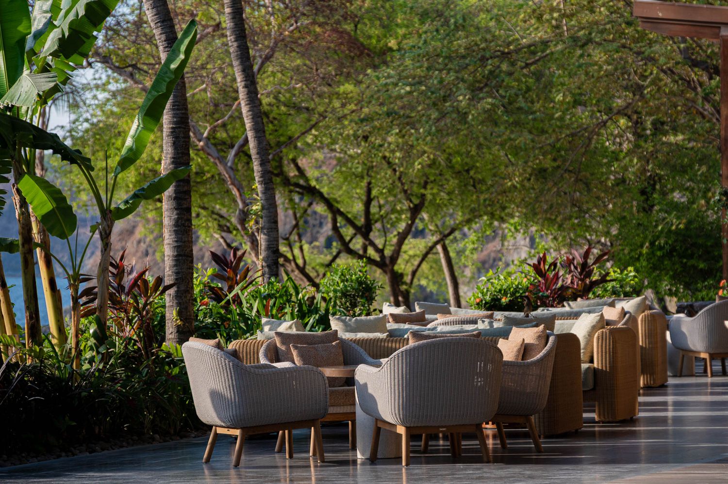 Elegant outdoor patio dining area with wicker chairs, lush tropical trees, and manicured gardens at a luxury resort.