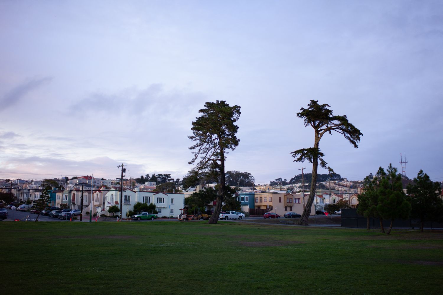 Misty San Francisco park at dusk with tall trees, green lawn, and residential buildings under overcast skies.