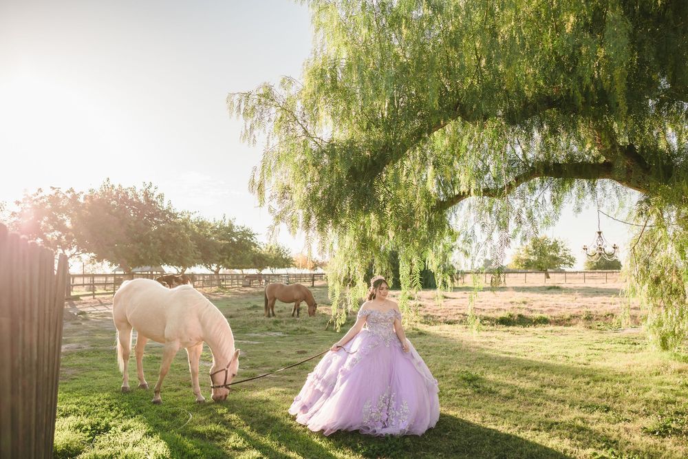 A young woman in a pink ball gown poses near grazing horses under a willow tree at golden hour.