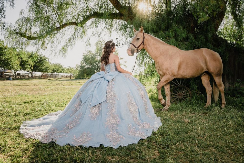 Girl in blue quinceañera gown poses with a palomino horse under a tree on a sunny day.