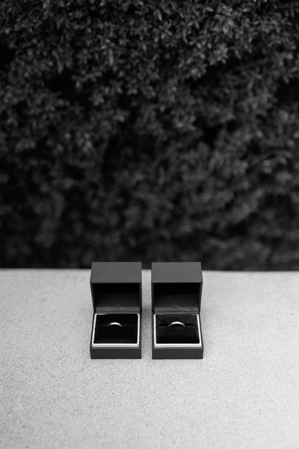 Two wedding rings in open black jewelry boxes on a stone surface with dark foliage backdrop, black and white photo.