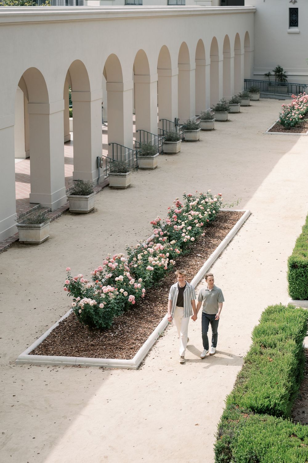 Aerial view of couple holding hands strolling along rose garden path beside arched colonnade.