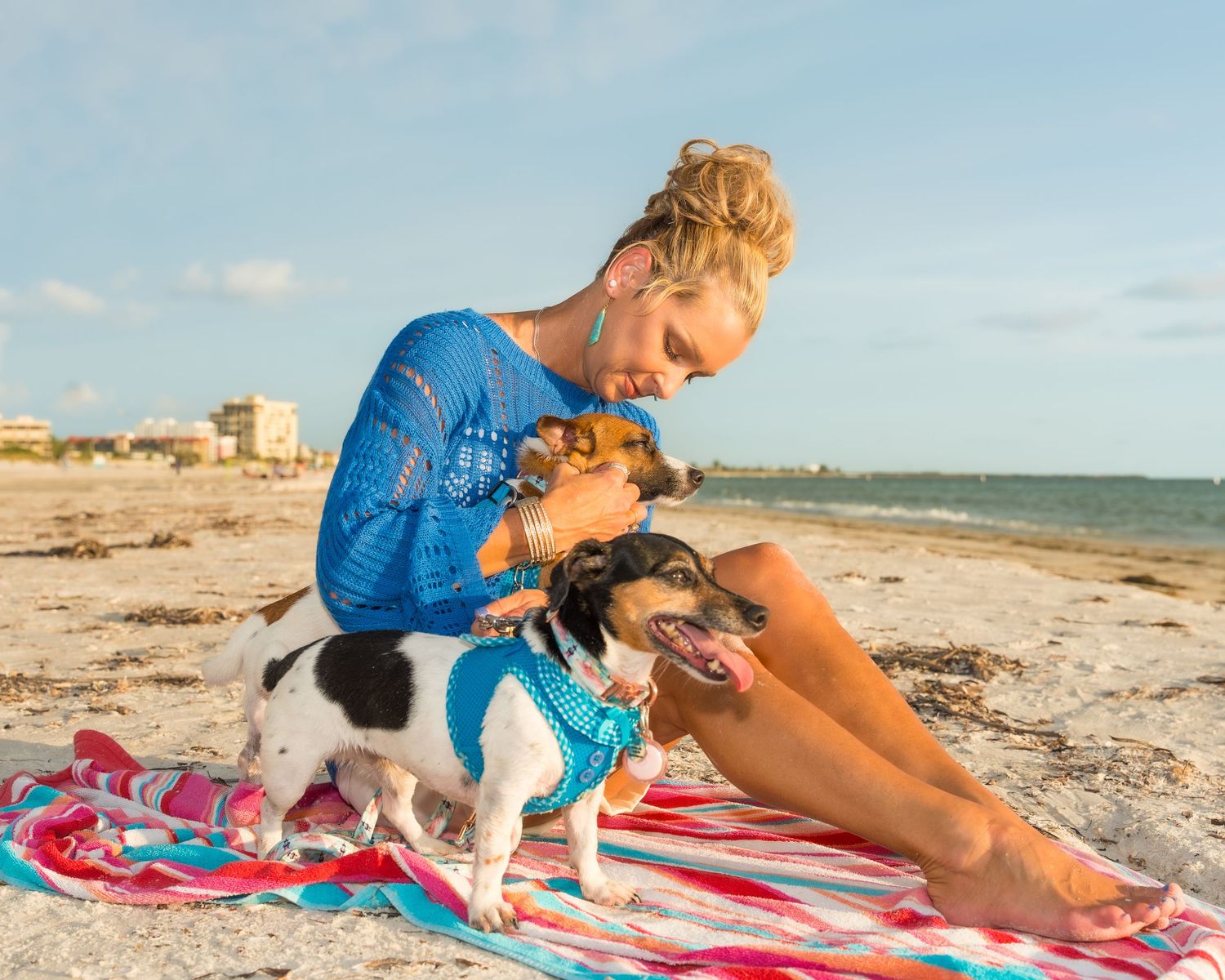 Woman in blue lace top sits on colorful beach towel with two small dogs at a sunny sandy beach.