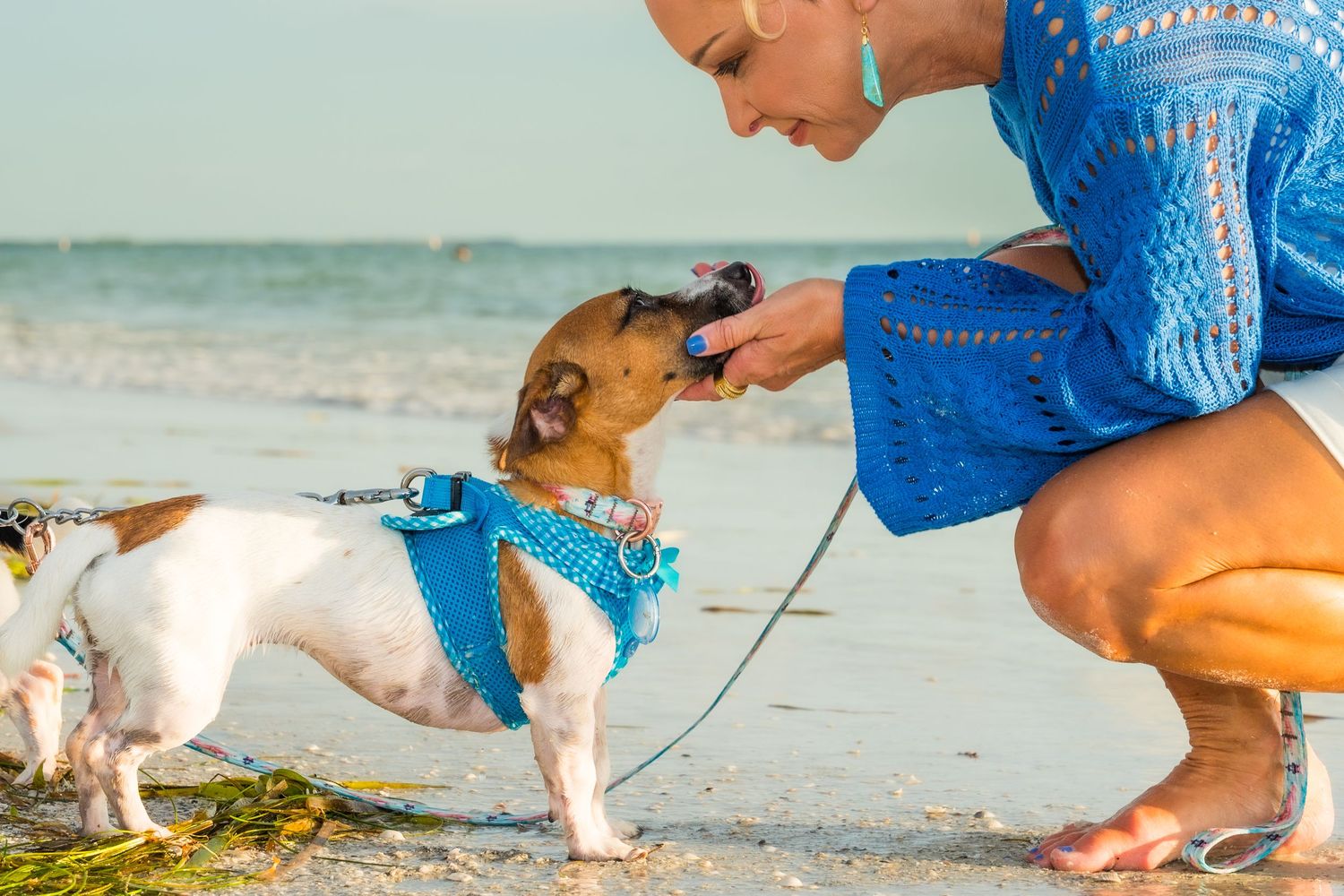 Woman in blue dress crouching on beach, sharing a tender moment with her Jack Russell Terrier on a leash.