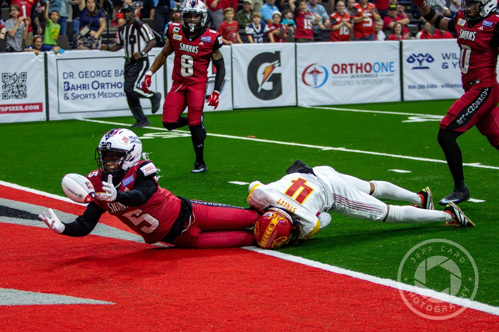 Jacksonville Sharks
