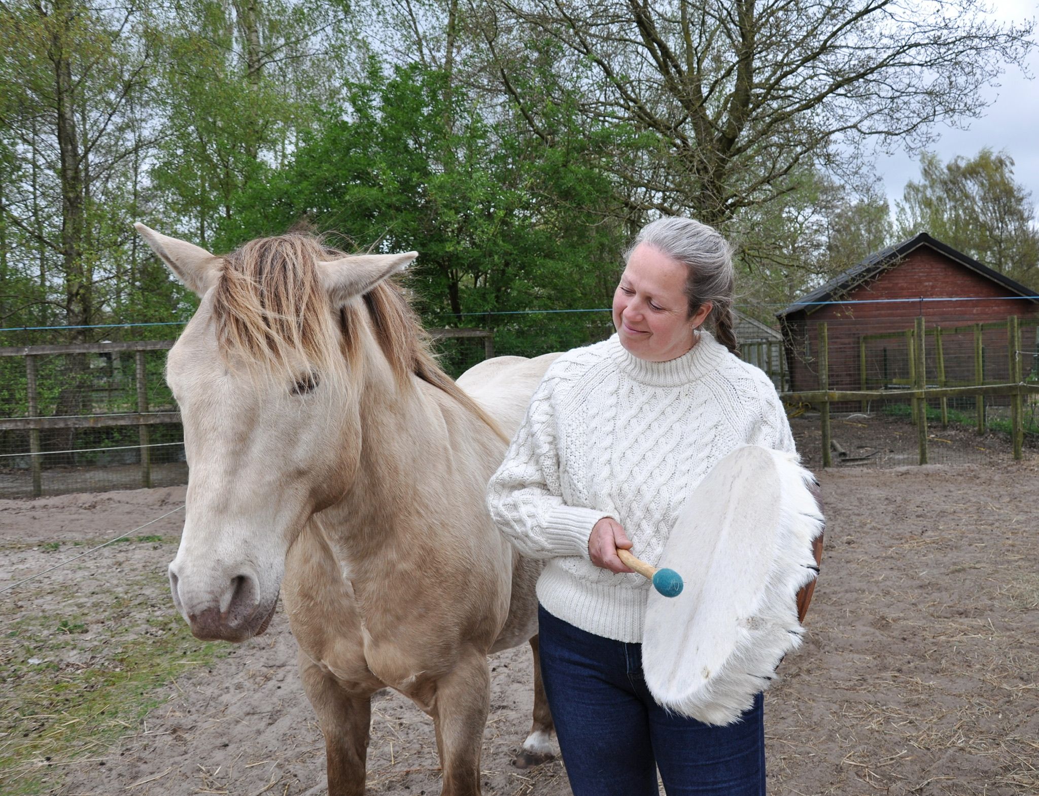 Woman in white cable-knit sweater grooming a pale horse in an outdoor paddock.