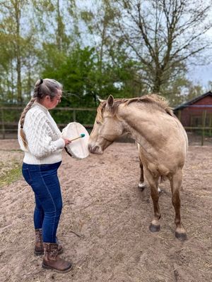 Woman with braid holds a frame drum as a palomino horse sniffs it in an outdoor paddock.
