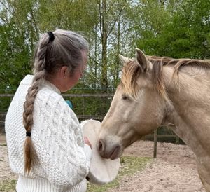 Close-up of woman with braid letting a palomino horse sniff a white frame drum outdoors.