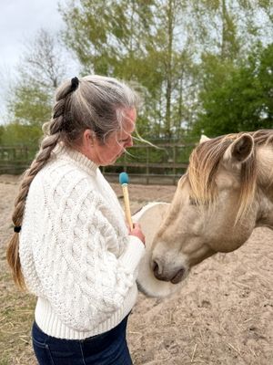 Woman holds drumsticks near a palomino horse's nose in a sandy horse paddock.