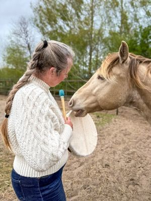 Woman with braided hair holds a drum and drumstick as a palomino horse reaches toward it.