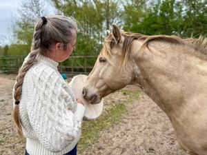 Side view of woman in white cable-knit sweater interacting closely with a palomino horse.
