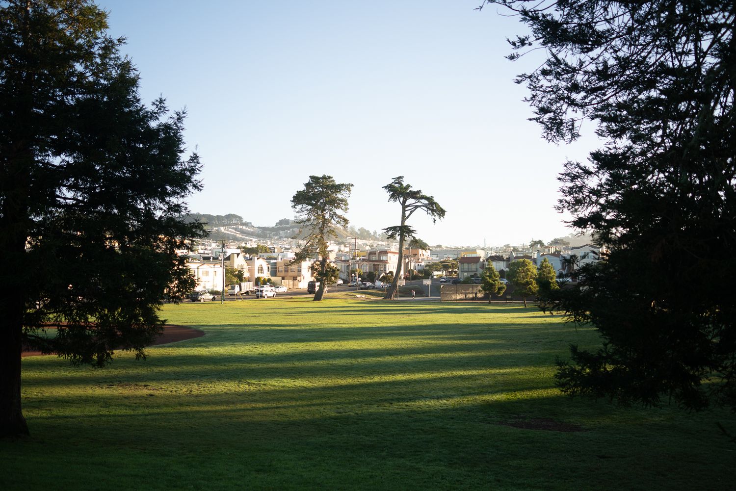 Misty San Francisco park at dusk with tall trees, green lawn, and residential buildings under overcast skies.