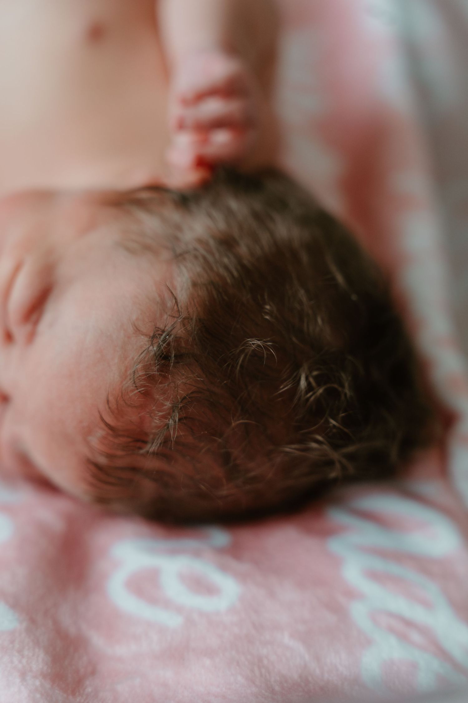 Close-up of newborn baby's full head of dark hair lying on pink blanket.