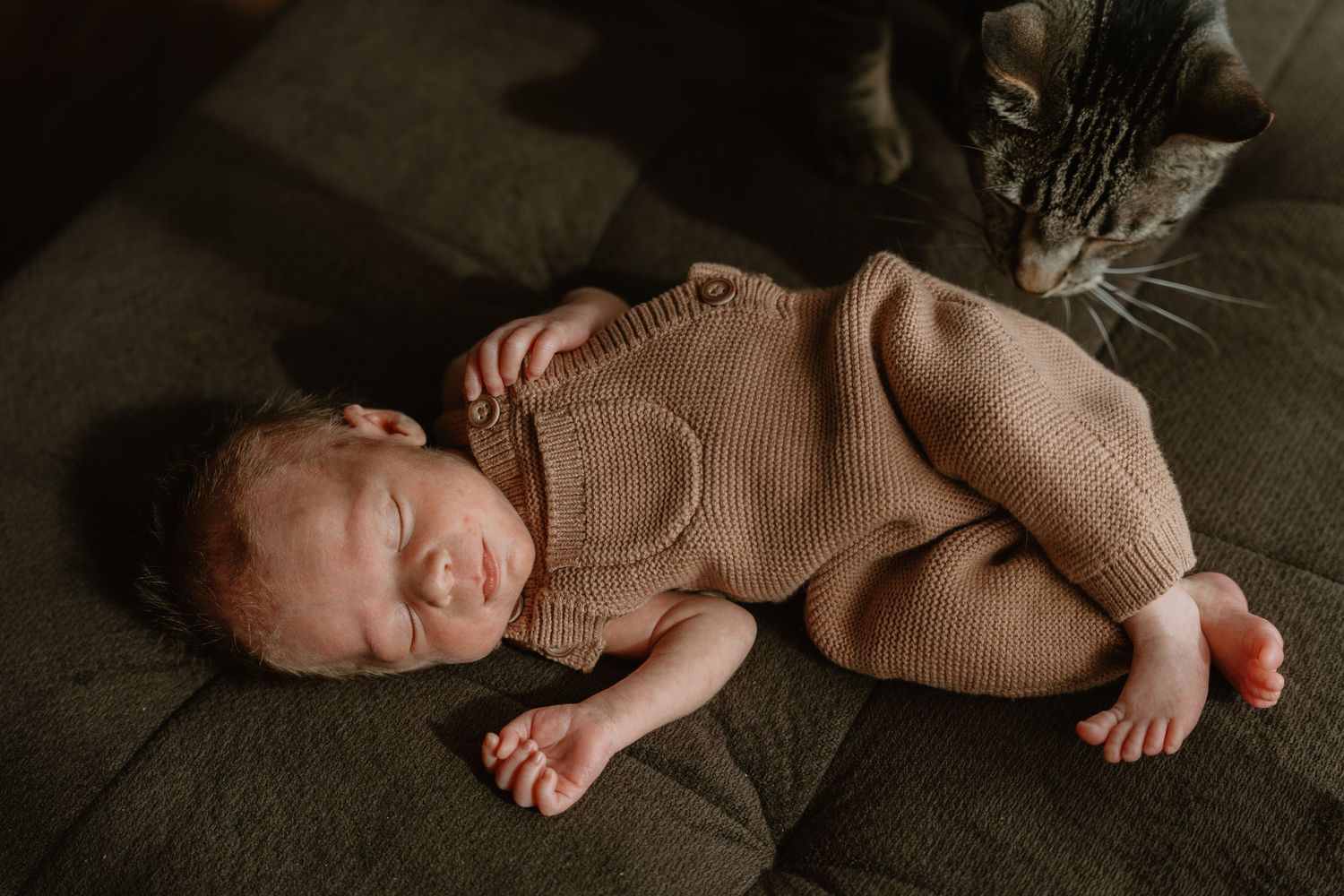 Sleeping newborn in a beige knit romper on a gray couch with a tabby cat nearby.