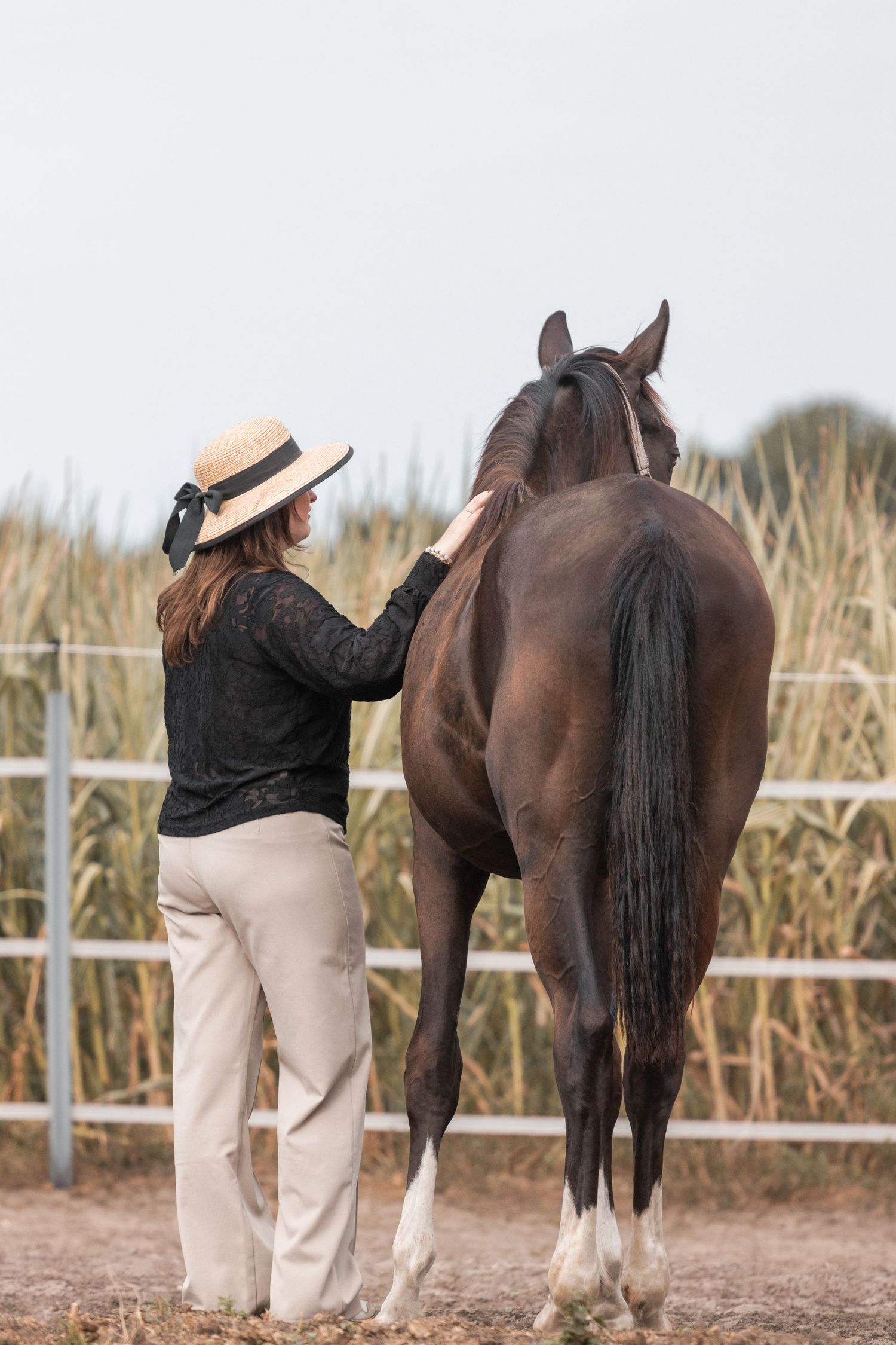 Paardenfotografie Zoefotografeert