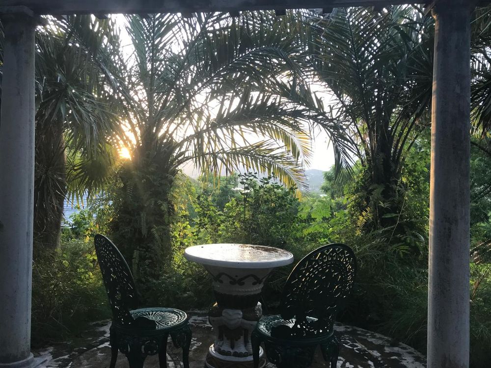 Tropical patio with ornate metal chairs and stone fountain surrounded by lush palm trees at sunset.