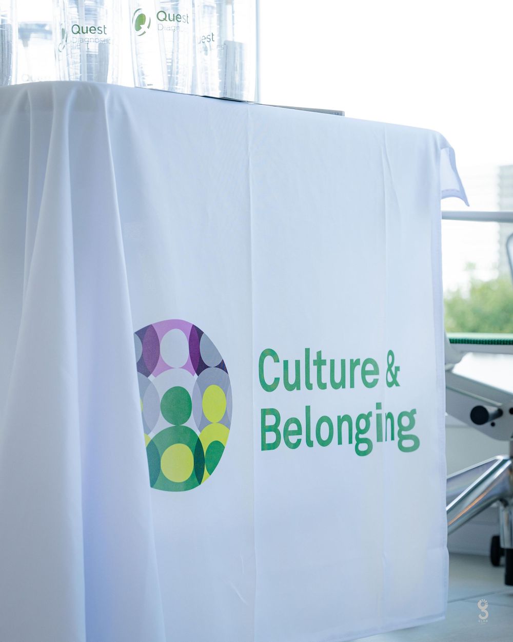 Green text reading 'Culture & Belonging' displayed on a white translucent curtain or fabric panel in an office setting.