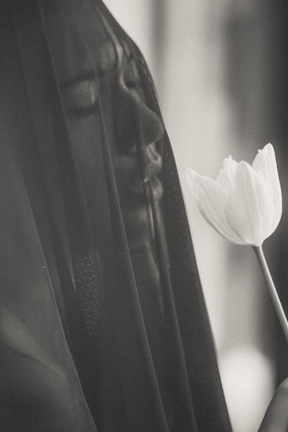 Abstract black and white composition featuring a white tulip against dark fabric.