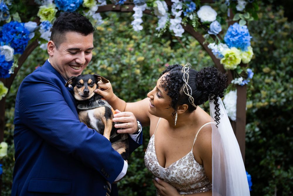 Bride and groom smiling while holding a small dog at an outdoor wedding ceremony with blue floral arch backdrop.