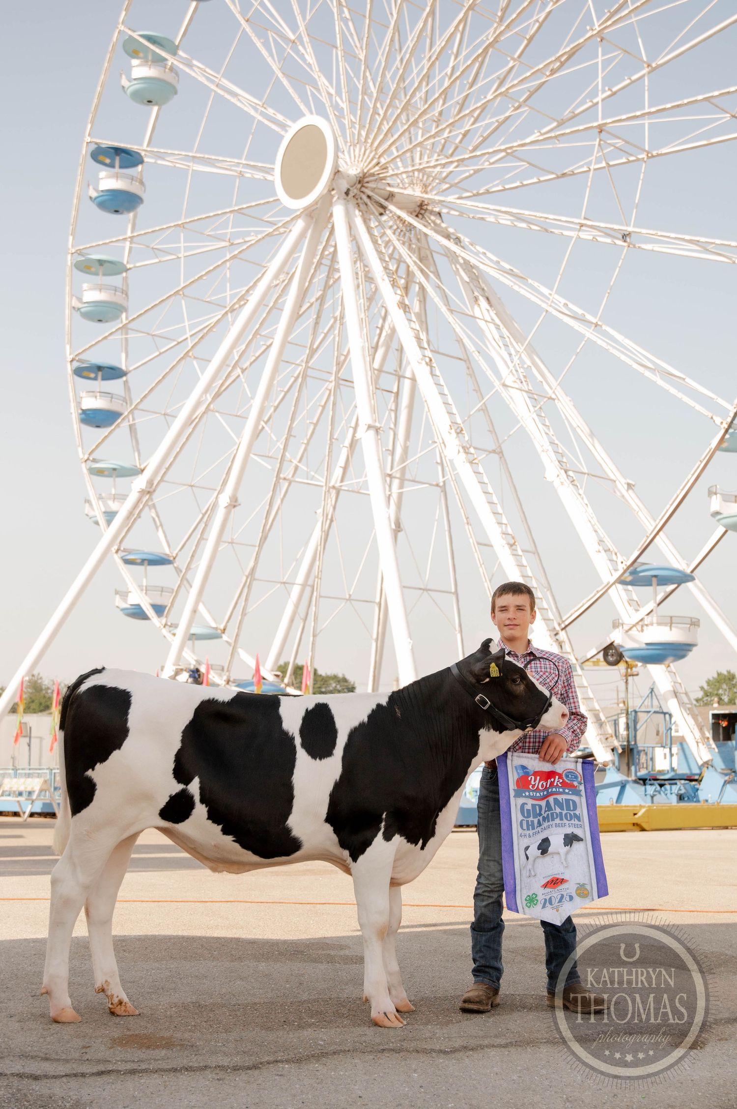 A boy poses with a grand champion Holstein cow at a county fair, with a large Ferris wheel in the background.