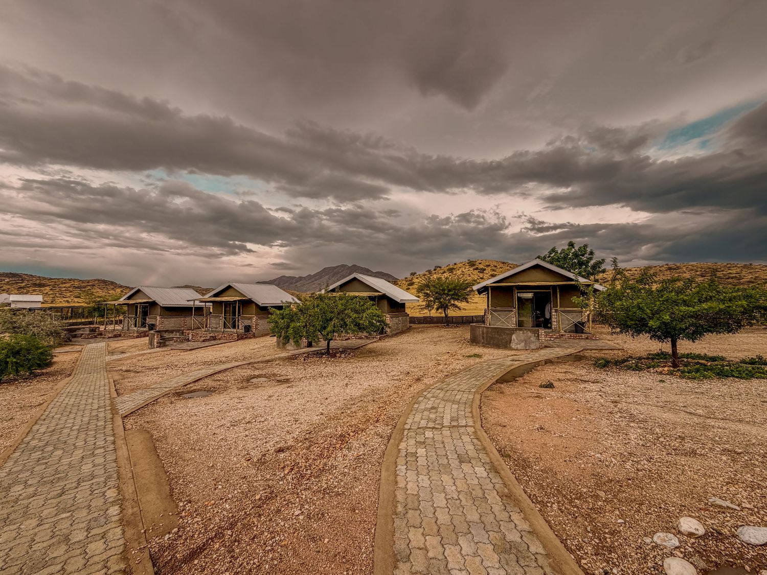 Outdoor swimming pool with rustic thatched pergola, hanging egg chairs, and dry Namibian landscape in the background. lodge hospitality