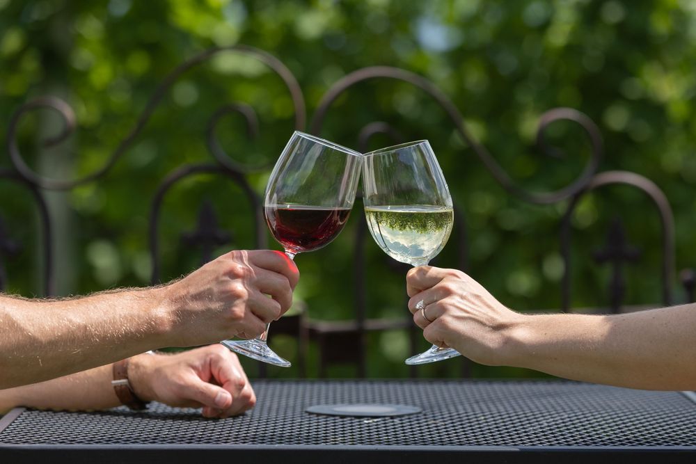 Two hands clinking glasses of red and white wine outdoors on a patio, toasting against a green garden backdrop.