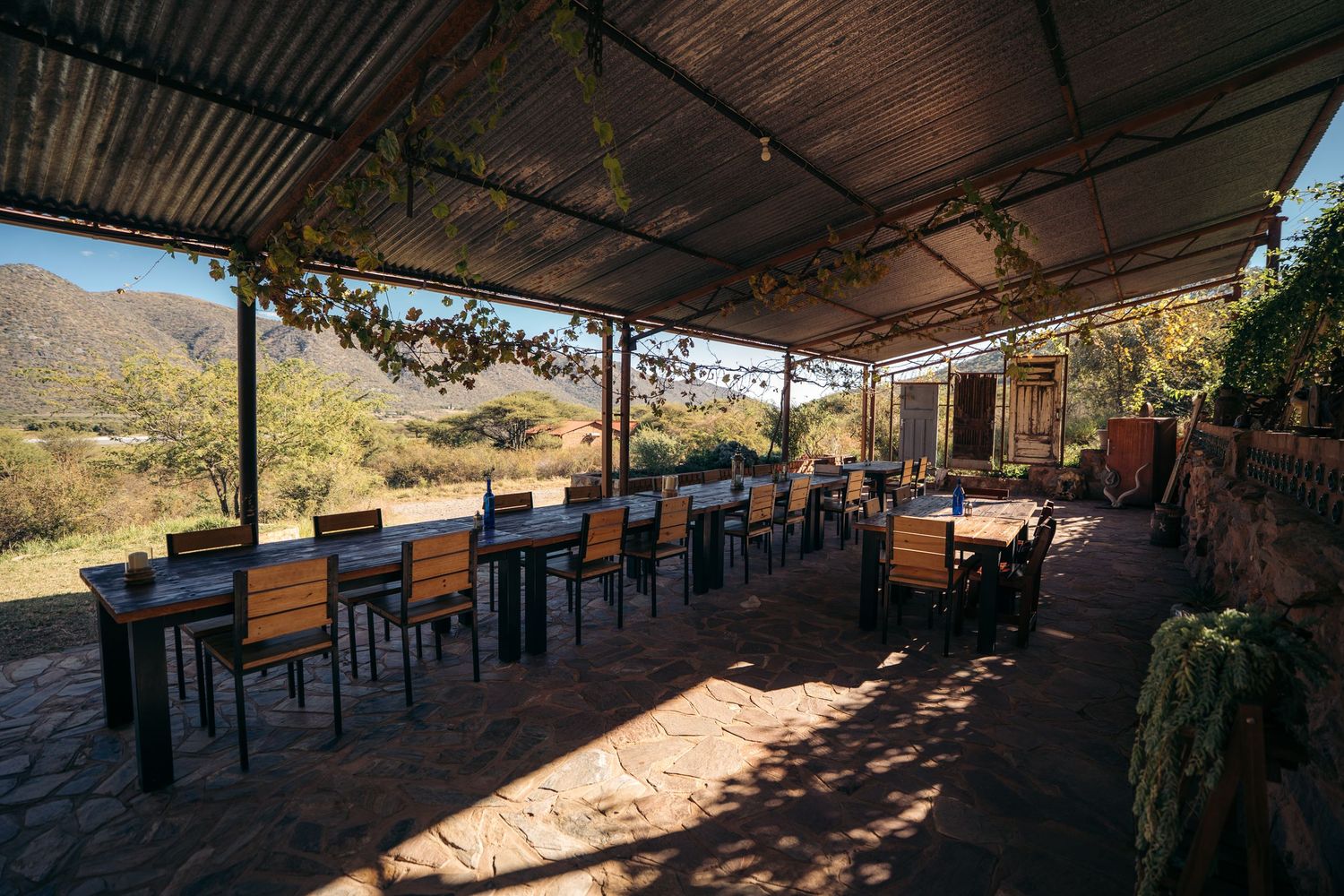 otavi vineyards