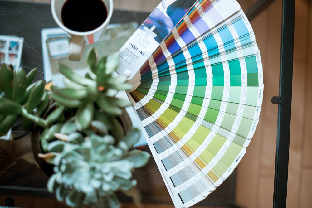 Color swatch fan displayed with succulent plants in natural lighting.