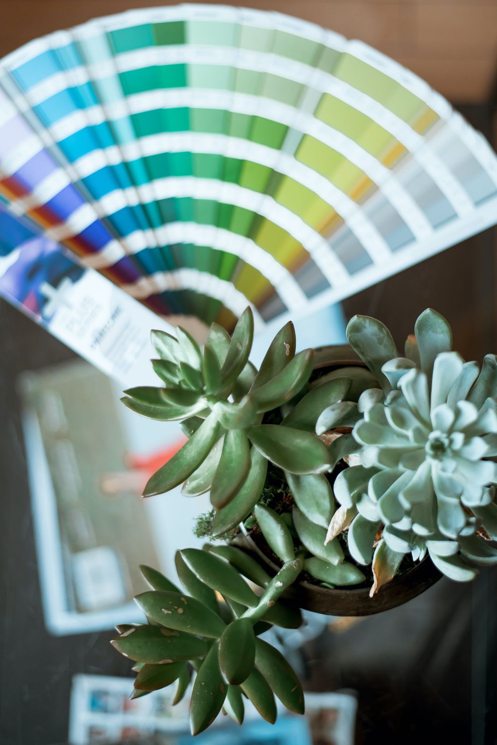 Green and blue paint swatches arranged in fan shape with succulents in foreground.